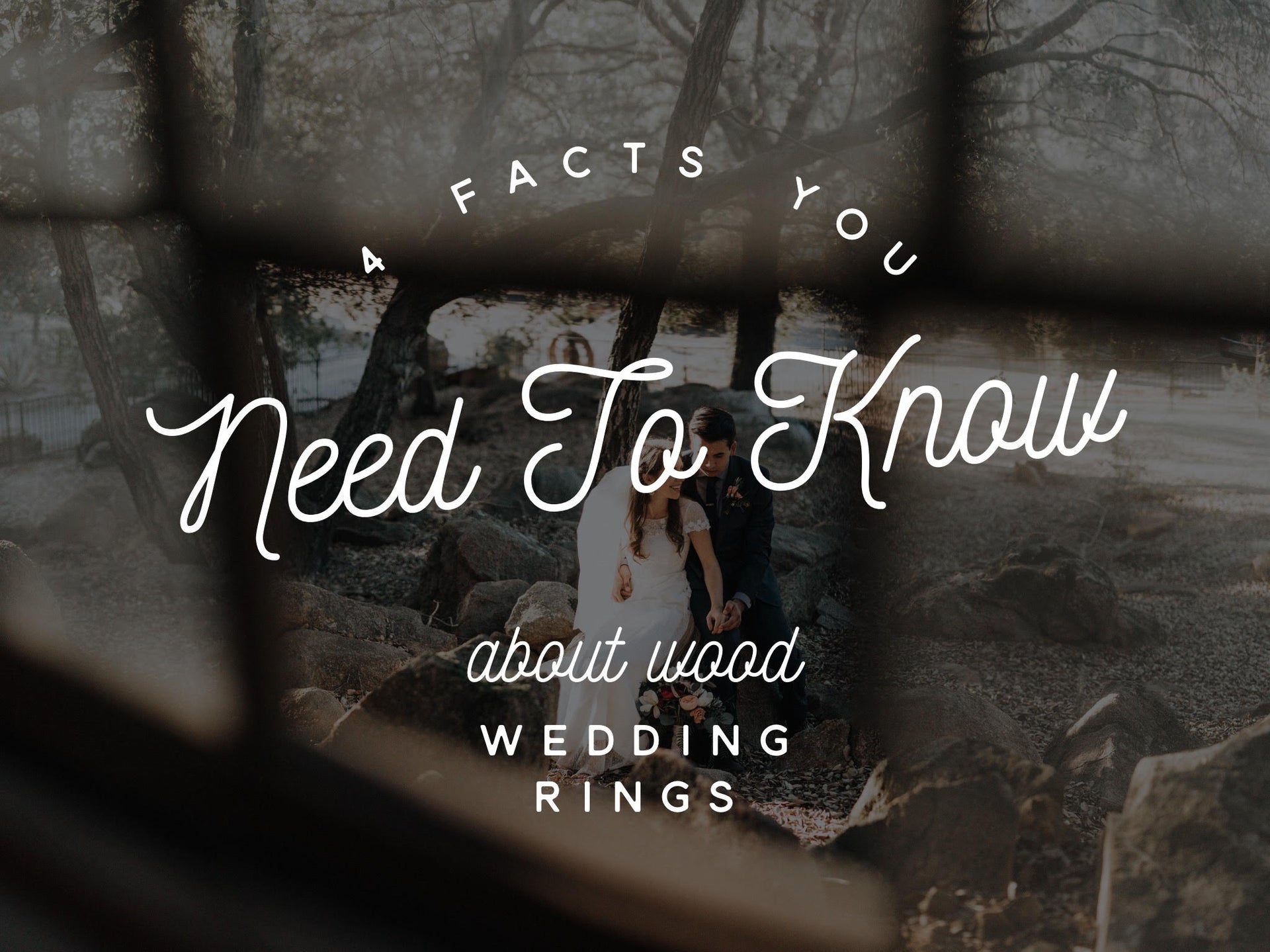 4 Facts You Need to Know About Wood Wedding Rings